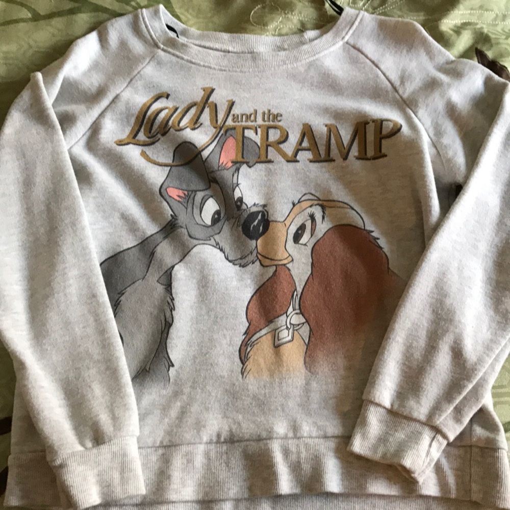 Lady and the tramp light weight noodie